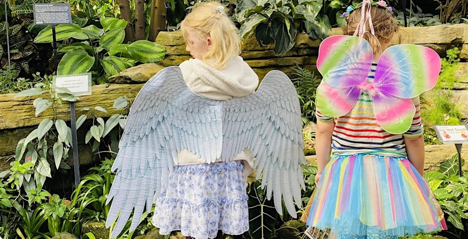 Milwaukee Summer Flower Fest: A Family Fun Fest!